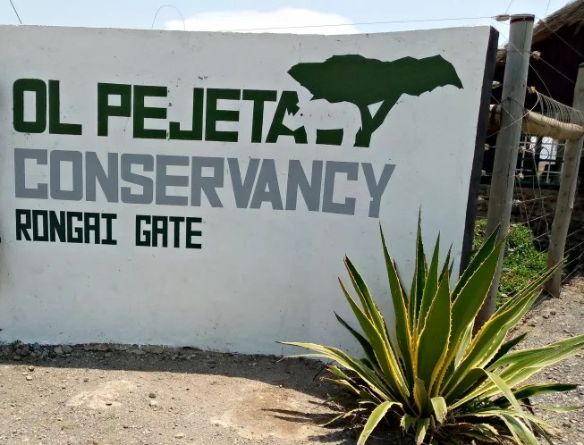 Why Ol Pejeta Conservancy is a Unique Tourist Destination in Kenya